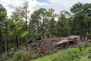 terras caídas Amazonas