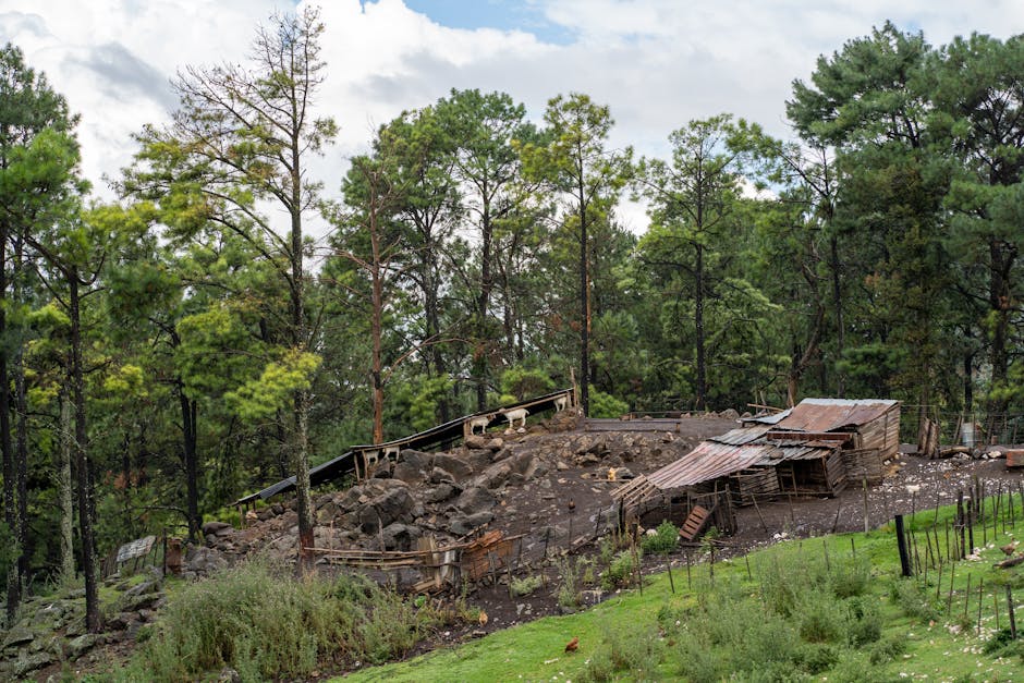 terras caídas Amazonas