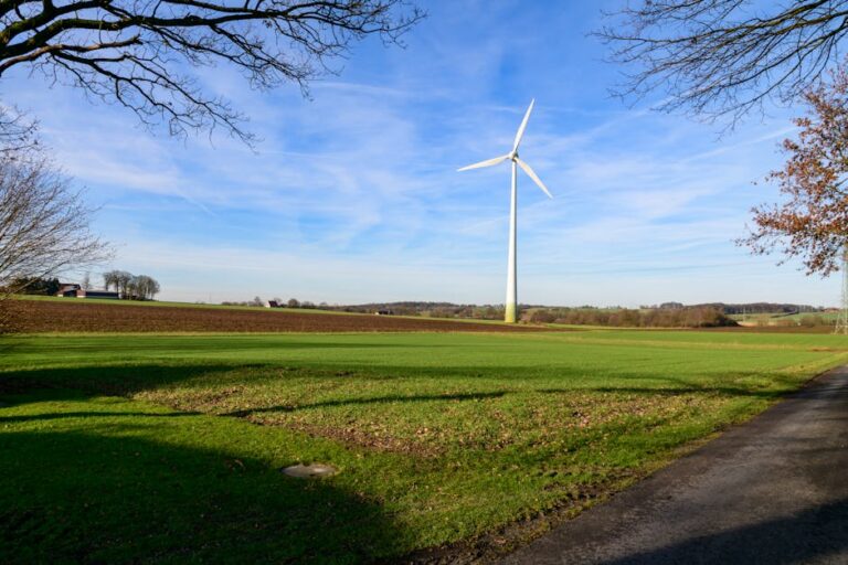 biocombustíveis Brasil