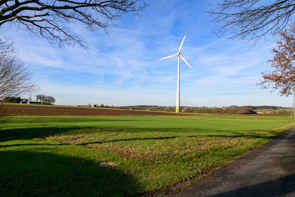 biocombustíveis Brasil