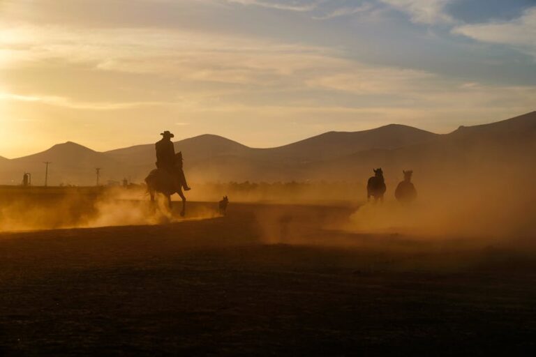 George R.R. Martin Western