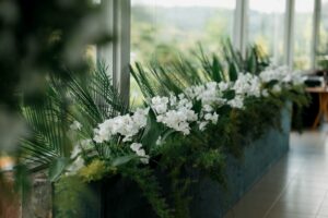 Exposição de orquídeas em Nova York