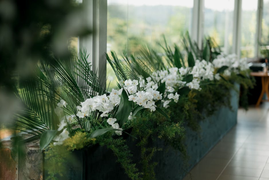 Exposição de orquídeas em Nova York