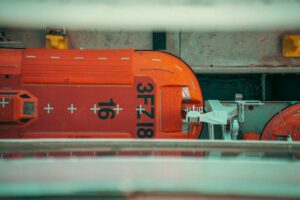 Tartarugas atropeladas por embarcações em recuperação