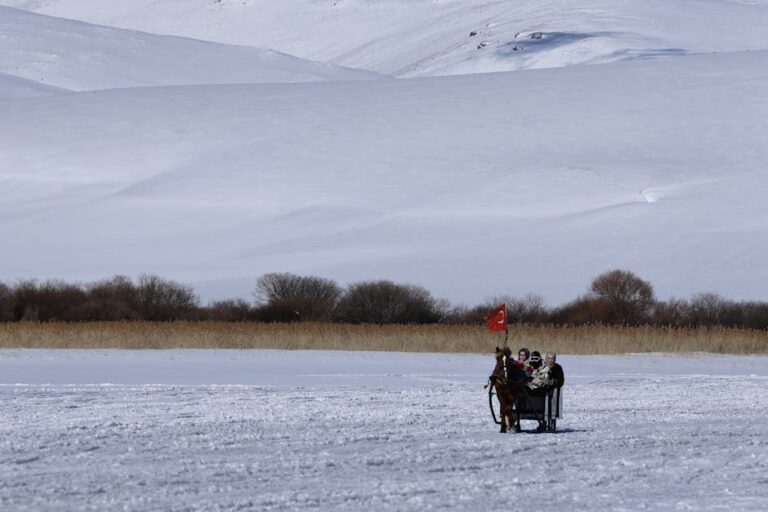 Cartaz da Çirkin dizisi