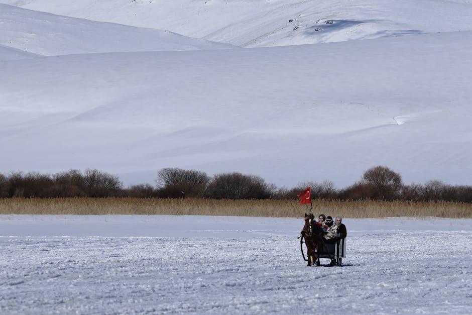Cartaz da Çirkin dizisi