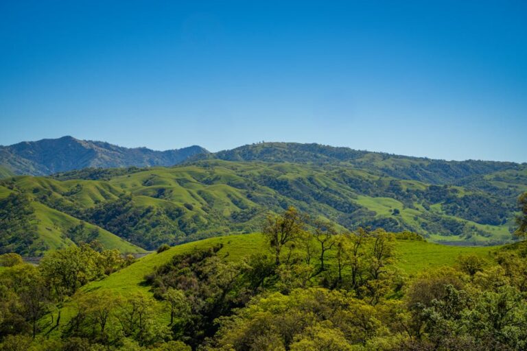 nova área protegida no Pantanal e Cerrado