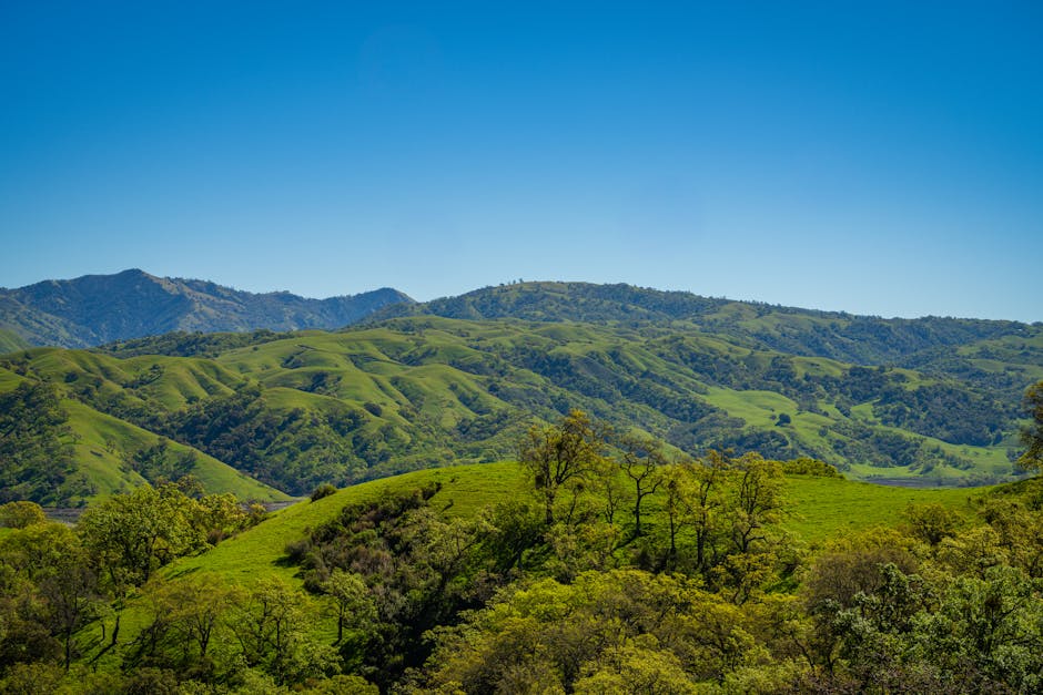 nova área protegida no Pantanal e Cerrado
