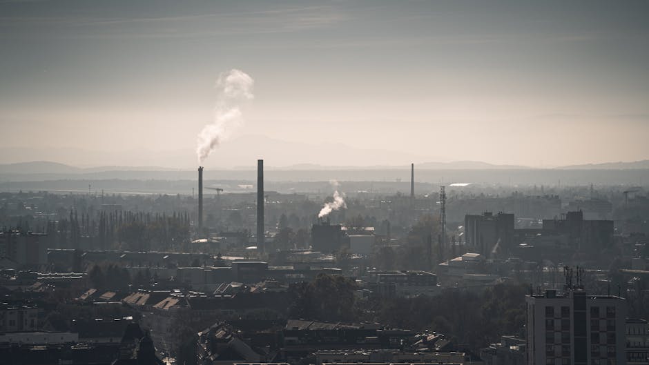 Vazamento de esgoto Altamira