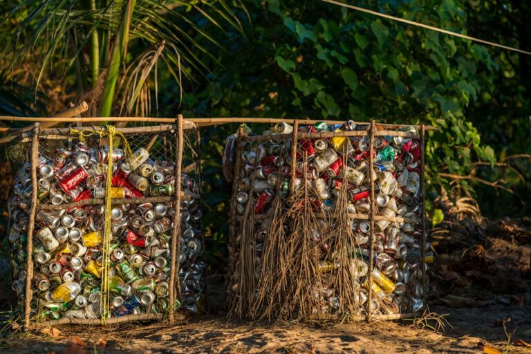 Amazônia Que Eu Quero 2026 painel sobre democracia