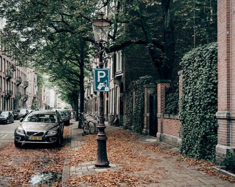 falso estacionamento Butantã