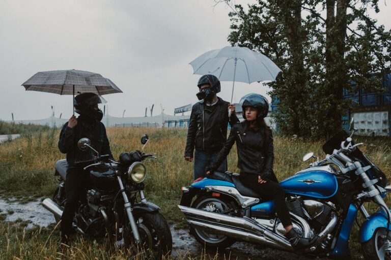 Sons of Anarchy teoria