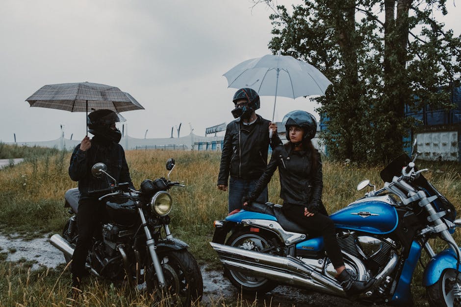 Sons of Anarchy teoria