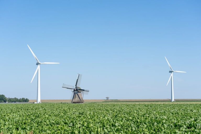 Reabertura usina biodiesel Quixadá