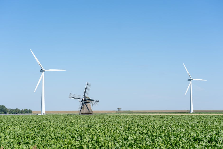 Reabertura usina biodiesel Quixadá