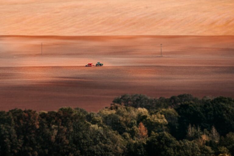 mecânico desaparecido fazenda