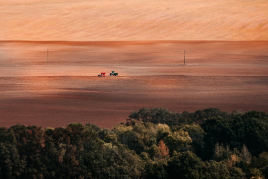 mecânico desaparecido fazenda