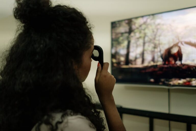 Shows de uma temporada