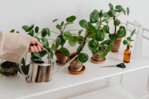 Disfarçar a lixeira na decoração