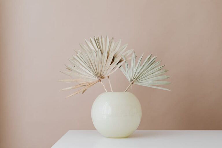 plantas secas recuperação