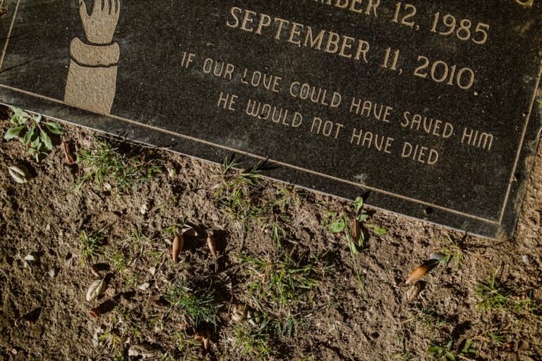 Morte de Esmeralda Domingos da Silva