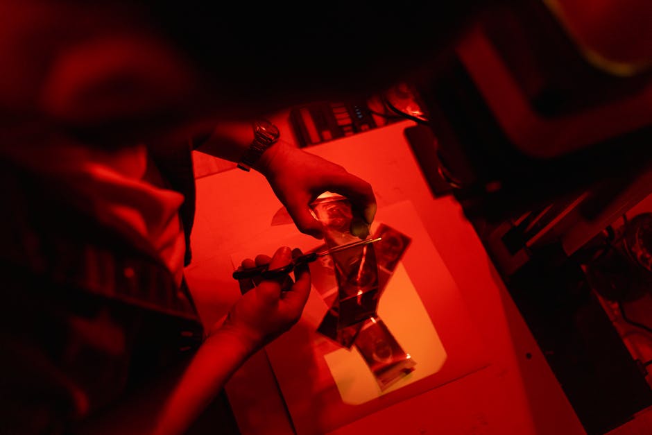 Predadores filme esquecido