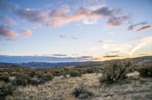 Taylor Sheridan Yellowstone