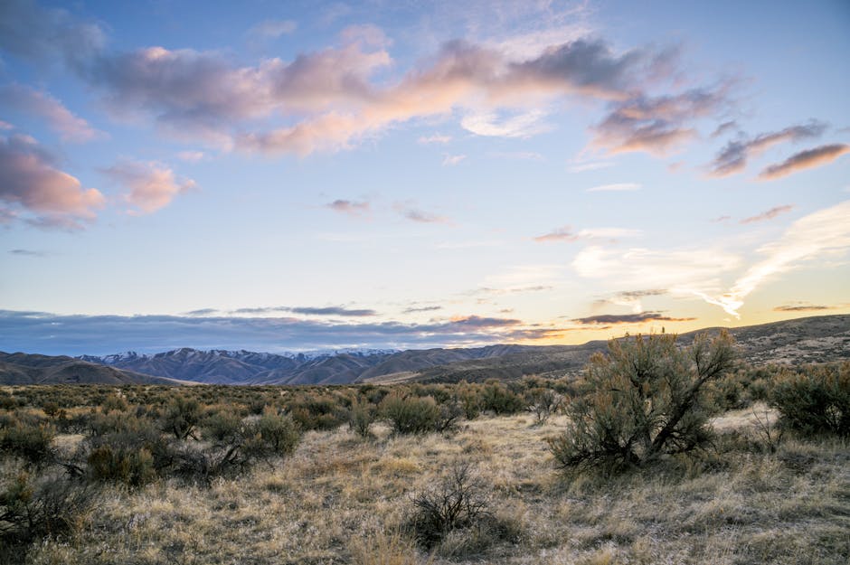 Taylor Sheridan Yellowstone