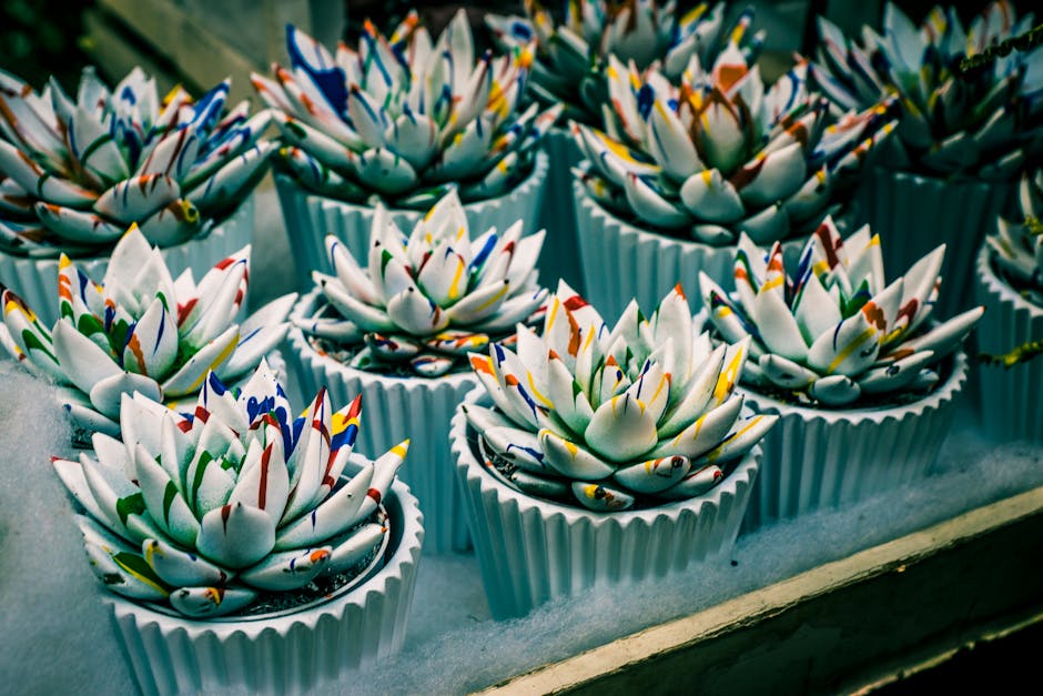 Henri Purnell flores de miçanga