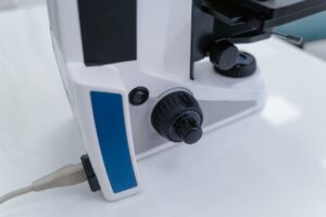 Mistério dos gatos que caem em pé