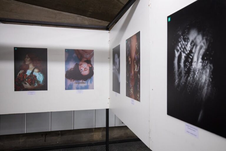 arte contemporânea Belém