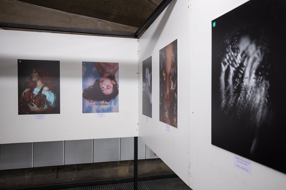 arte contemporânea Belém