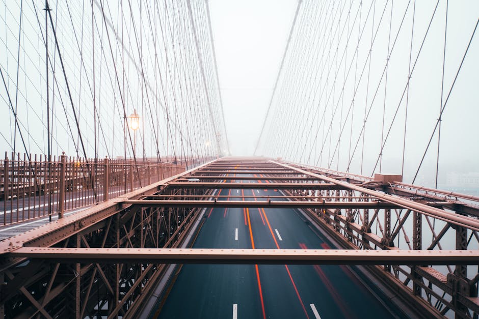 Ponte Estreito Mosquitos interdição