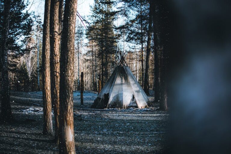 substituto do projeto Blair Witch