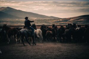 Taylor Sheridan Yellowstone