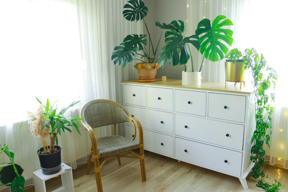 rack suspenso na sala de estar