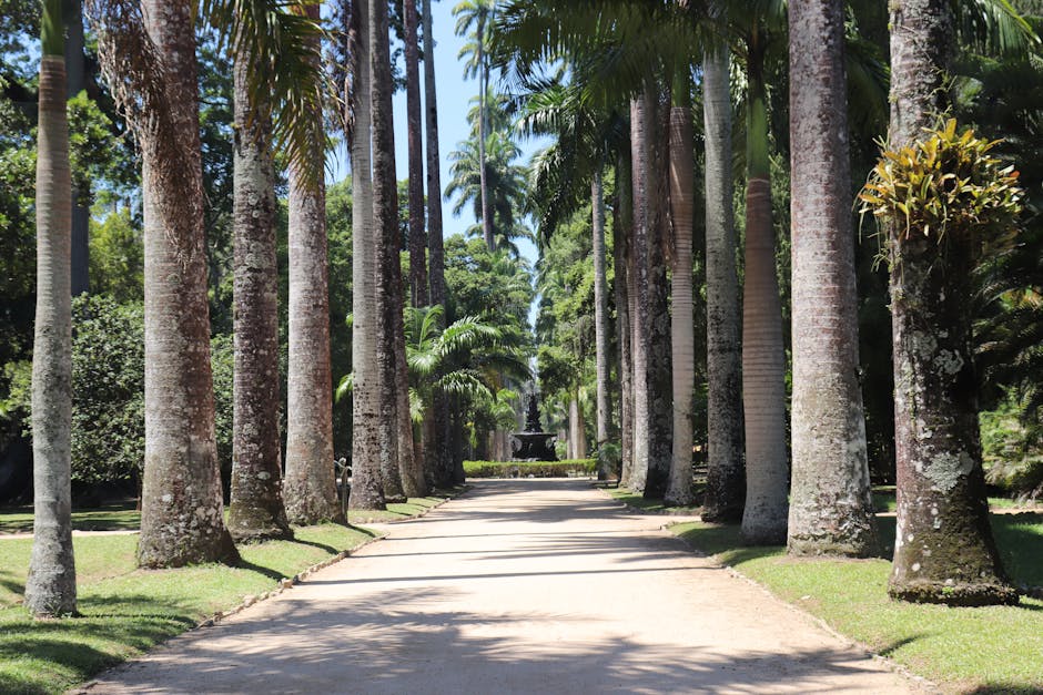 Parque Roberto Burle Marx em São José dos Campos, destacando elementos arquitetônicos e paisagísticos.