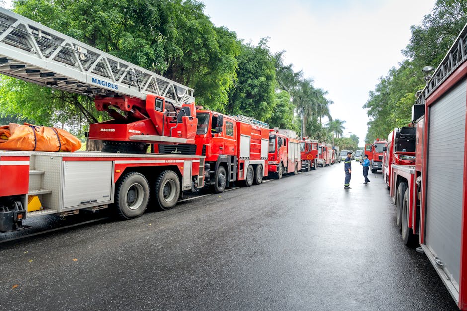 árvore caída Teresina