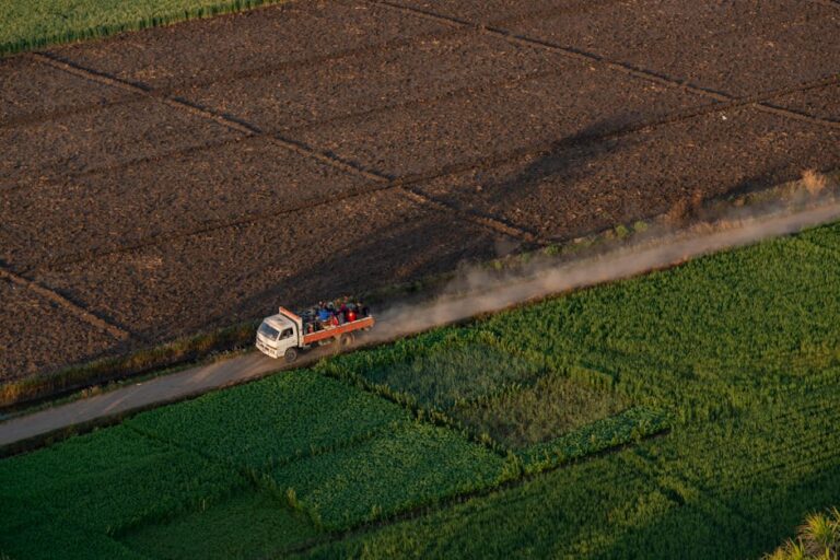 Crise dos fertilizantes e sua influência na agricultura brasileira