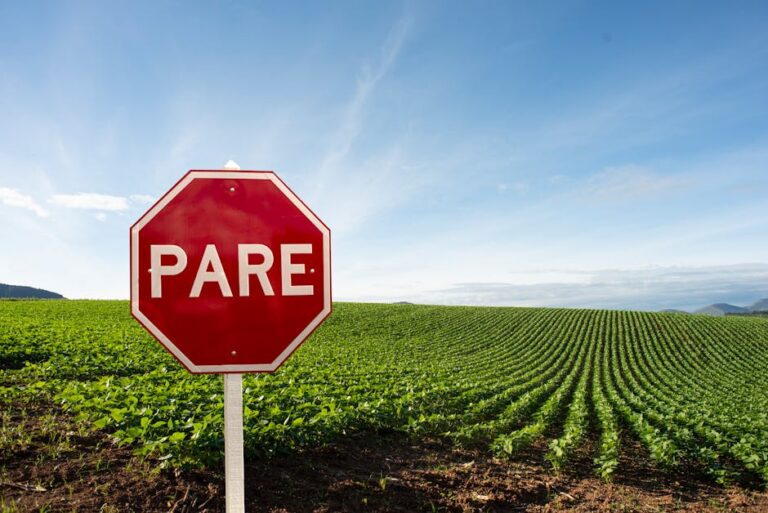 quadra chuvosa Alagoas