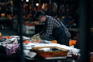 sardinha congelada contaminação Salmonella