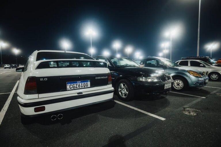 placas de carro Mercosul