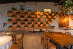 Cerrado armazenamento carbono