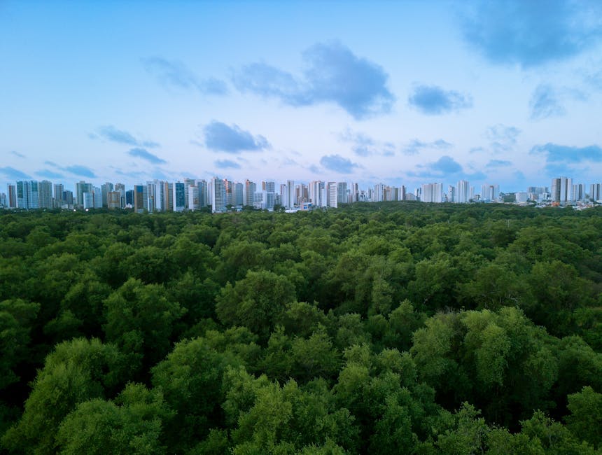 Drones granadas Fortaleza