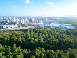 Tocantins Fundo Amazônia