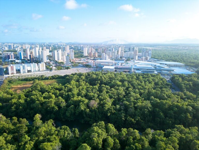 Tocantins Fundo Amazônia