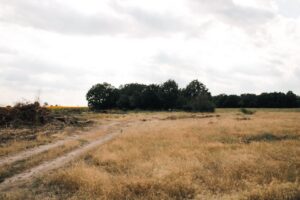 Little House on the Prairie