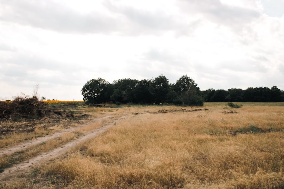 Little House on the Prairie