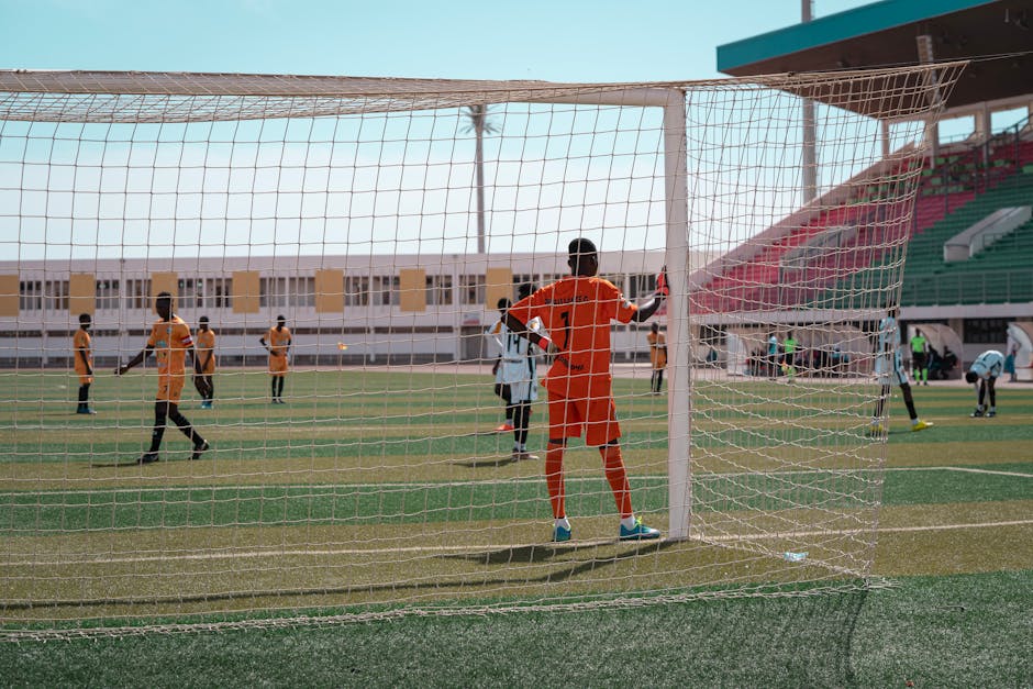 Goleiros do Vitória-ES em análise