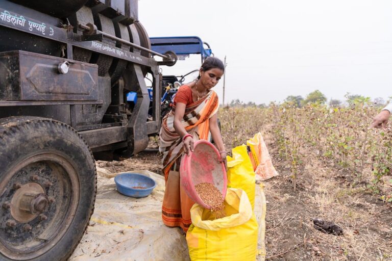 Financiamento agricultura familiar